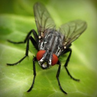 /album/kinsfinsusaprai/photolia-a01-jpg/