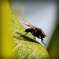 /album/kinsfinsusaprai/photolia-a04-jpg/