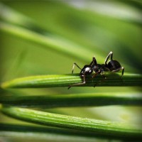 /album/kinsfinsusaprai/photolia-a05-jpg/