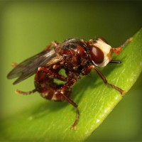 /album/kinsfinsusaprai/photolia-a06-jpg/