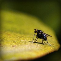 /album/kinsfinsusaprai/photolia-a07-jpg/