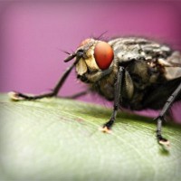 /album/kinsfinsusaprai/photolia-a08-jpg/